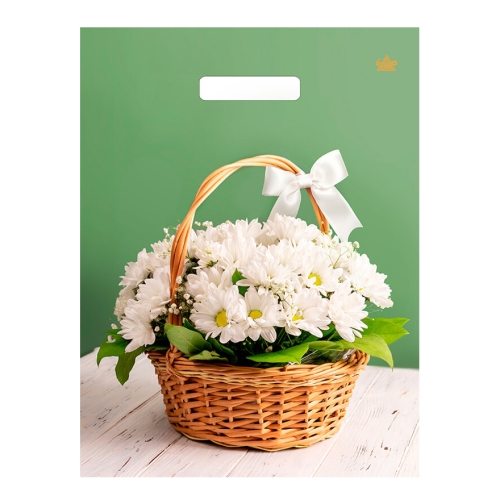 Пакет ПЭ с вырубной ручкой 31x40+6см (60) (Идеальный подарок) Глянцевый Тико (х50/500)