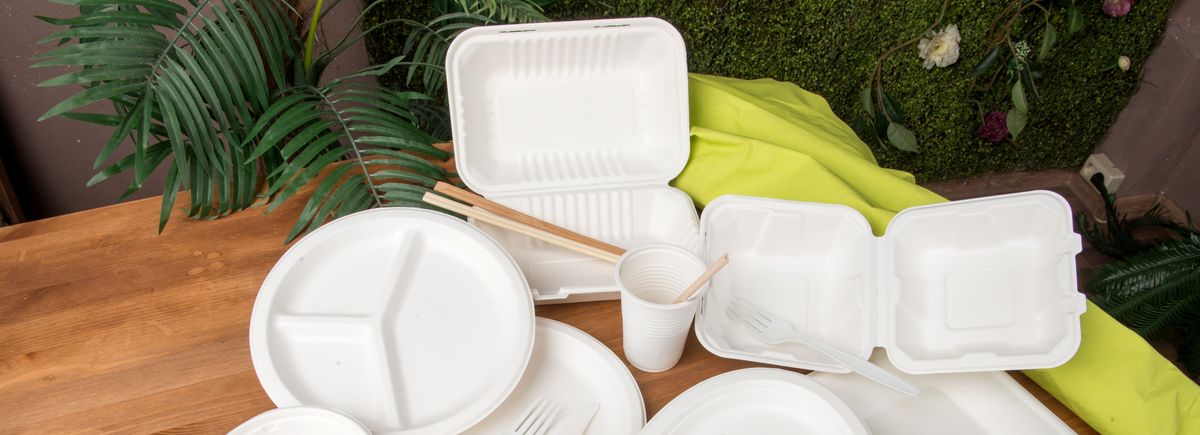 Посуда и Упаковка <br> из экологичных материалов