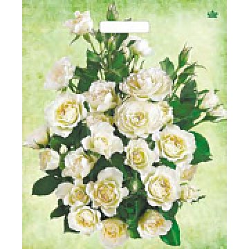 38х45+3(60) Мешки(пакеты) с выр.ручкой ламин. Белые розы (50/500)